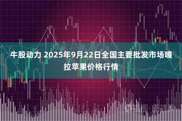 牛股动力 2025年9月22日全国主要批发市场嘎拉苹果价格行情
