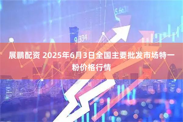 展鵬配资 2025年6月3日全国主要批发市场特一粉价格行情