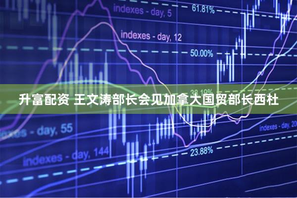 升富配资 王文涛部长会见加拿大国贸部长西杜