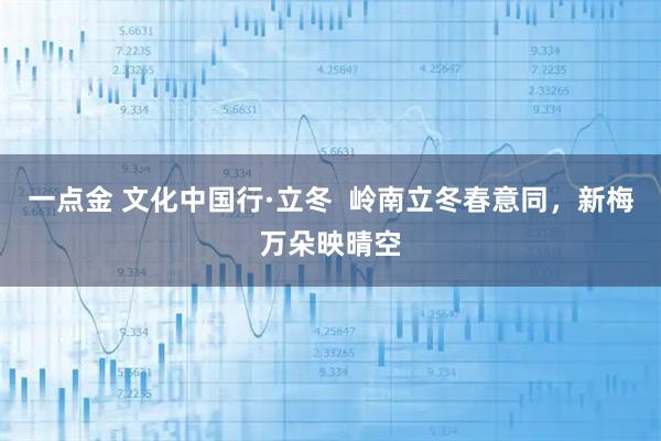 一点金 文化中国行·立冬 岭南立冬春意同,新梅万朵映晴空