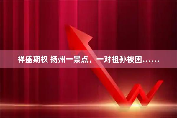 祥盛期权 扬州一景点,一对祖孙被困……